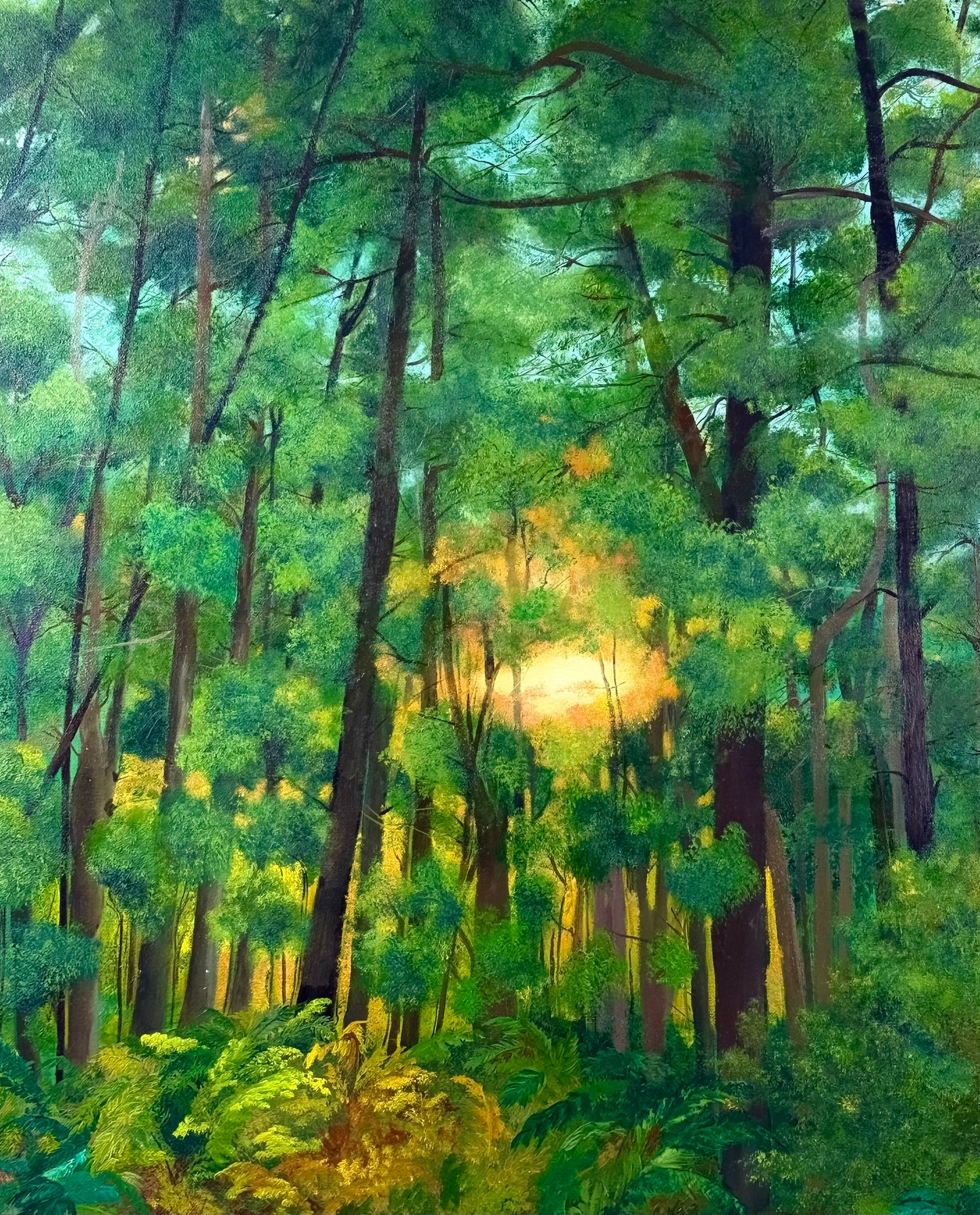 Baden Powell Glow